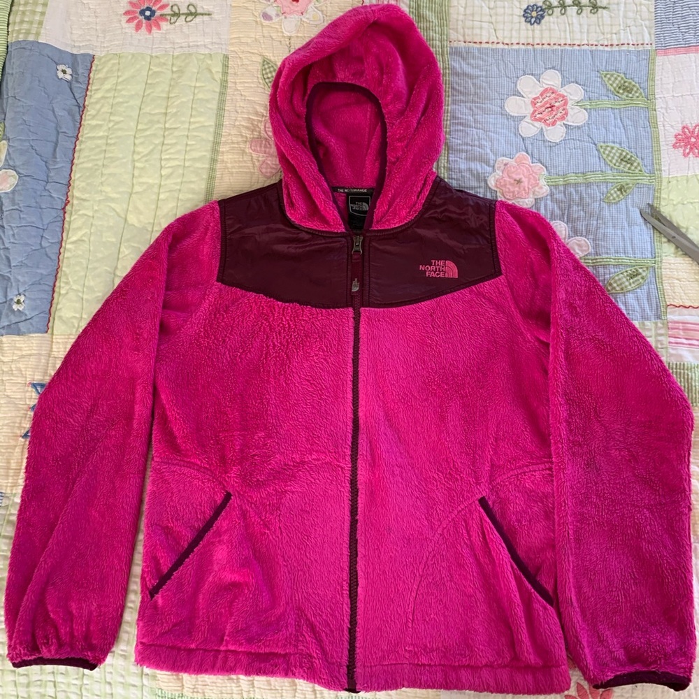 North Face Fleece Hooded Jacket